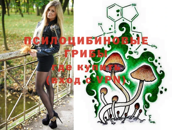 гидропоника Дмитров