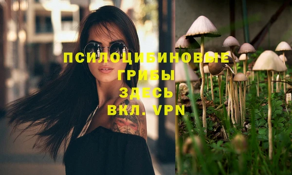амфетамин Дмитриев