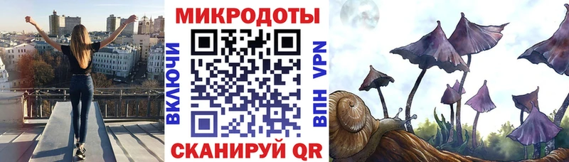 Псилоцибиновые грибы прущие грибы  Купить закладки  Астрахань 