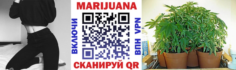 Купить закладки  Астрахань  Бошки Шишки Bruce Banner 